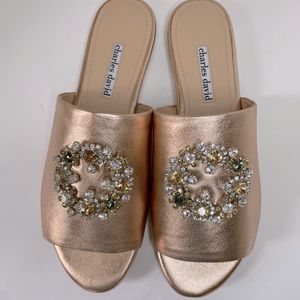 Charles David Soleil Slides size 8.5
